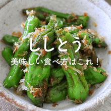 「ししとう」人気レシピ｜おつまみ、煮びたし、炒め物も！美味しい食べ方がすぐ見つかる