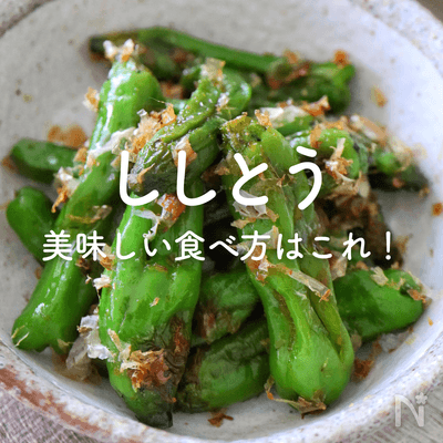 「ししとう」人気レシピ｜おつまみ、煮びたし、炒め物も！美味しい食べ方がすぐ見つかる