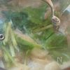 ほっこり美味しい【鶏肉とかぶの和風クリーム煮】の工程4
