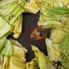 クミン香るキャベツの焼きサラダの工程5
