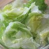 調味料3つ!【焼肉屋のチョレギサラダ】の工程1