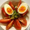 曖昧の作ってみた!投稿(春キャベツとゆで卵の塩だれサラダ)