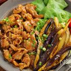 とろじゅわ【なす】に悶絶！今日のおうちごはん！さんの「なす×お肉の甘辛おかず」5選｜最高のご飯泥棒♪