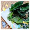 こまりこ😃の作ってみた!投稿(モリモリ食べられる♡サラダほうれん草としらすのマヨポン和え)