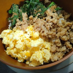 ゆみの作ってみた!投稿(【しっとりそぼろの三色丼】簡単絶品！)