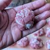 【豚こまギュッ！照り煮たまご】食べ応え抜群😋の工程1