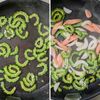 魚ソーで節約！ゴーヤのカレーチャンプルー｜スパイシーな夏の味の工程5