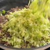 【ぎょうざの中身丼】食べたらおなじ？包まない新しいぎょうざの工程4