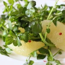シトラス(メローゴールド)とクレソンのビネグレットサラダ