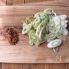 【しゃきしゃきねぎと豚しゃぶの梅ポン和え】さっぱり美味しい♡の下準備