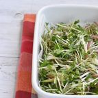 ミックス薬味【半調理】