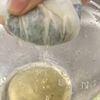 冷凍OK!ほうれん草の塩麹ナムルの工程2
