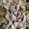 1207859の作ってみた!投稿(豚こま大根【#作り置き #お肉柔らか #10分で味しみ】)
