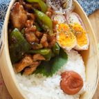 エセ青椒肉絲【寝坊した朝のお弁当にどうぞ】