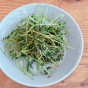 ミルクの作ってみた!投稿(【豆苗塩昆布炒め】炒め時間1分！超速攻で無限に食べられる✨)