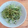 ミルクの作ってみた!投稿(【豆苗塩昆布炒め】炒め時間1分!超速攻で無限に食べられる✨)