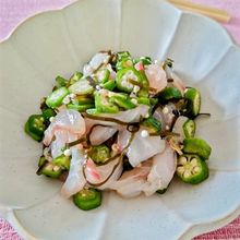【真鯛のこぶ締め・オクラ和え】残ったお刺身で手軽に作れる！