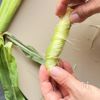 【ヤングコーンの天ぷら】ひげまで美味しい！旬のごちそう♡の工程1