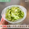 切ってもむだけ5分☆【キャベツときゅうりのシンプル漬け】の工程1