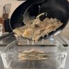 秋のごちそう【れんこんの和風グラタン】の工程6