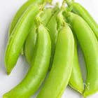 今が旬!スナップエンドウを美味しく茹でる方法とおすすめ弁当おかず