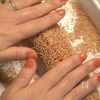 食卓が一気に華やぐ‼︎『サーモン生春巻き』の工程4