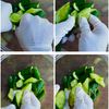 長芋ときゅうりとトマトのさっぱり塩昆布マリネの工程2