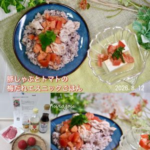 クラ蔵の作ってみた!投稿(【酸味で整う】 豚しゃぶとトマトの梅だれエスニックごはん)