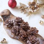 市販のお菓子で簡単！！まつぼっくりケーキ【クリスマス】