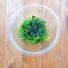 ピーマンの無限海苔ナムルの工程3