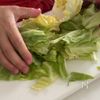 【10分で絶品！豚バラキャベツの韓国風甘辛炒め】ご飯進む！の工程1