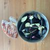 ワンパン10分!【豚こま肉となすのおろしポン酢】の工程1