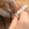 材料2つで旬を楽しむおつまみ‼︎『鯛の茗荷巻き』の工程2