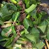 牛こまとごぼうと小松菜のしょうが炒めの工程4