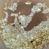 コクうま絶品♡ミニトマトのフルーティーペペロンチーノの工程1