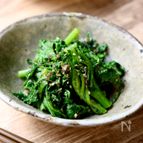 つくおきにも◎程よいクセと食感で箸すすむ！『無限春菊』