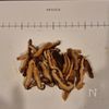 白だしで本格派！干し椎茸のミルクリゾットの工程1