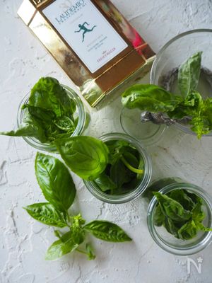 バジルの保存法 バジルのオリーブオイル漬け 作り置き 大量 By 道添明子 あーぴん レシピサイト Nadia ナディア プロの料理家のおいしいレシピ