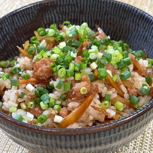 楽ラク手抜キッチン🐶🐾の作ってみた!投稿(おかわりしたくなる♩鶏ごぼう混ぜごはん)