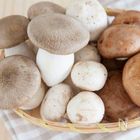 秋の味覚到来！最近人気のきのこカタログ