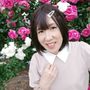 ぴんくツバメ