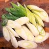 【しょうがでポカポカ】鶏肉とネギのポン酢生姜煮の工程1