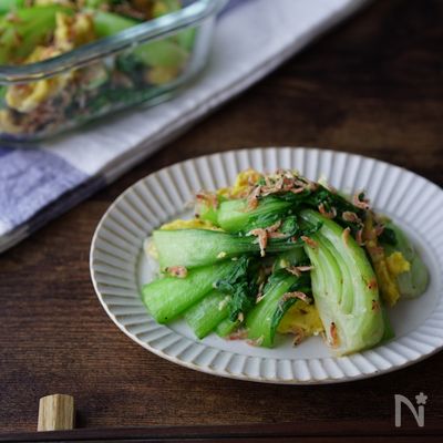 【10分副菜】青梗菜のマスタード和え