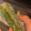【あきごはん流 山形だし】この夏必須の最強常備菜！の工程1