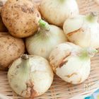 「春野菜って、けっきょく何？」に管理栄養士がお答えします！