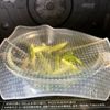 デパ地下級【佐賀県産アスパラガスとベビーホタテのペペロン風】の工程2