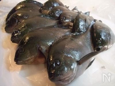 メジナ グレ のお刺身 メジナ グレ 料理 By まなべっち レシピサイト Nadia ナディア プロの料理家のおいしいレシピ