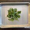 柚子胡椒香る★厚揚げのなめこあんかけの工程4