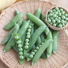 えんどう豆のだし浸し