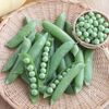 えんどう豆のだし浸し